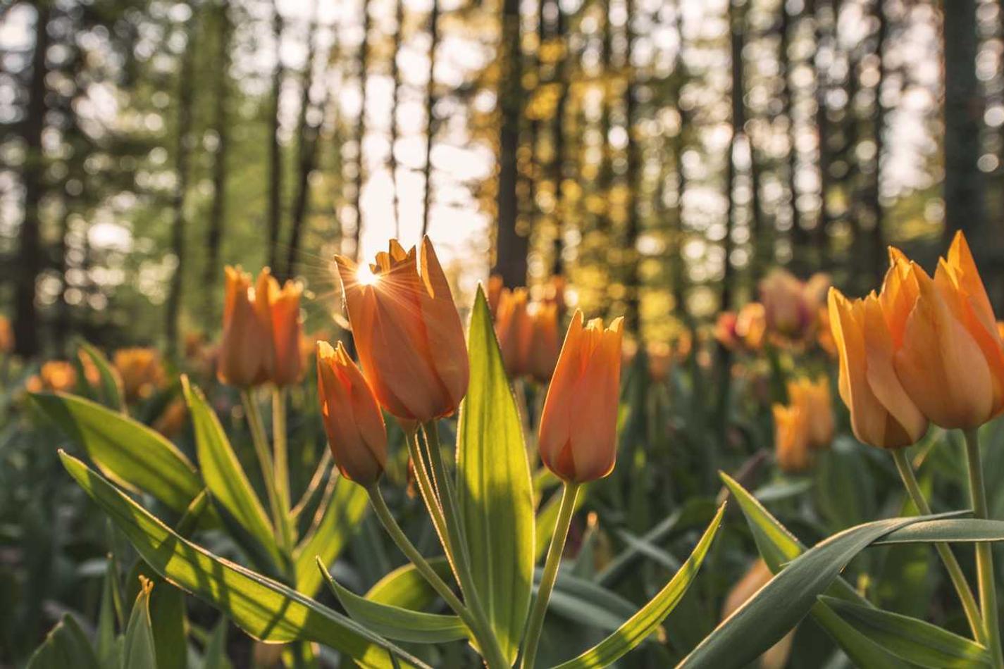 Recusandae unde consequatur enim